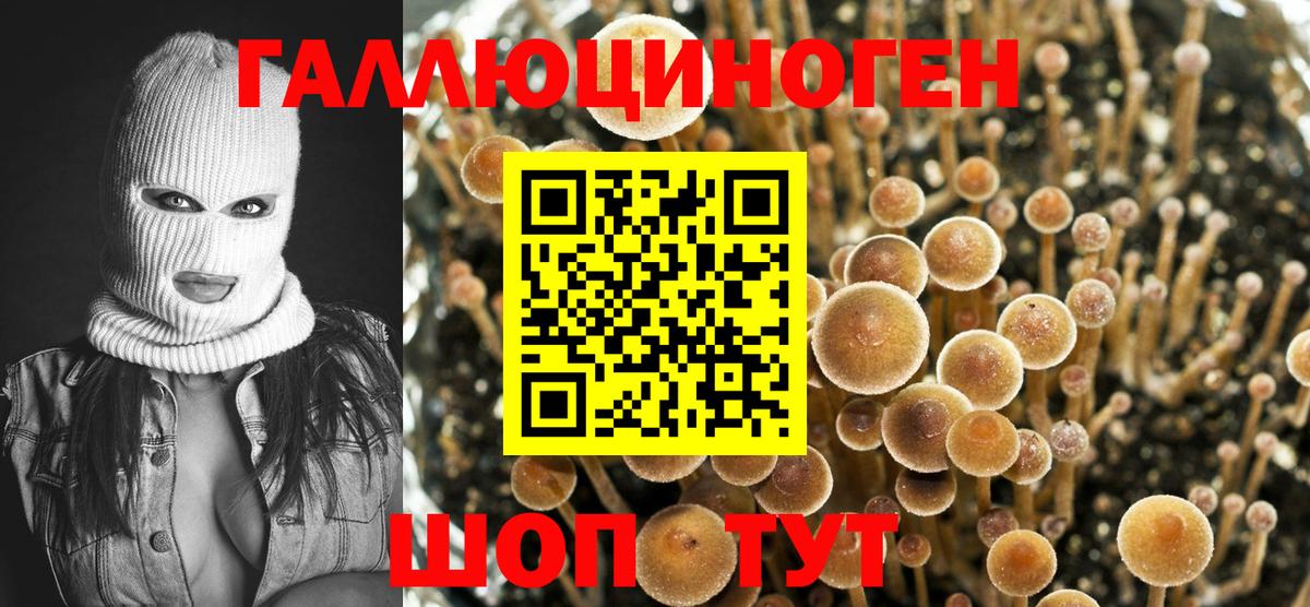 Галлюциногенные грибы Cubensis  Вход с VPN  Нефтеюганск 
